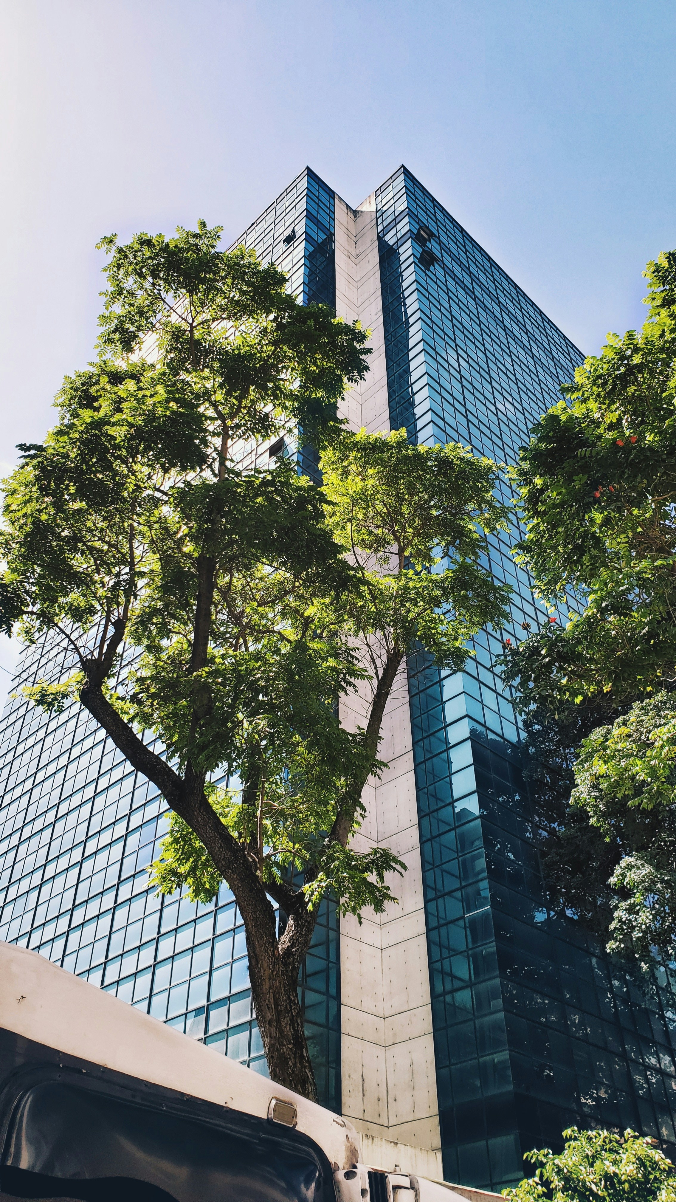 EB-5 pathway: eb5 for entrepreneurs