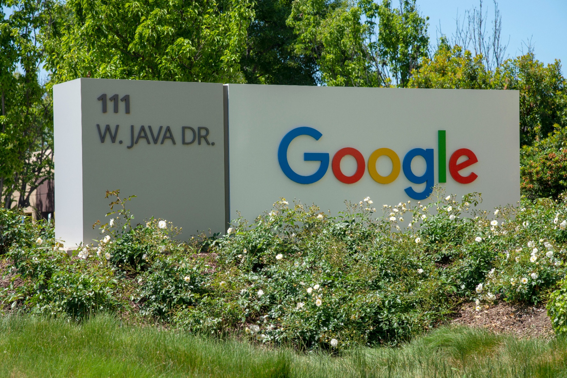 Google headquarters signage in Silicon Valley, illustrating the H-1B tech worker audience pursuing EB-5 as a backup to employer-sponsored green cards