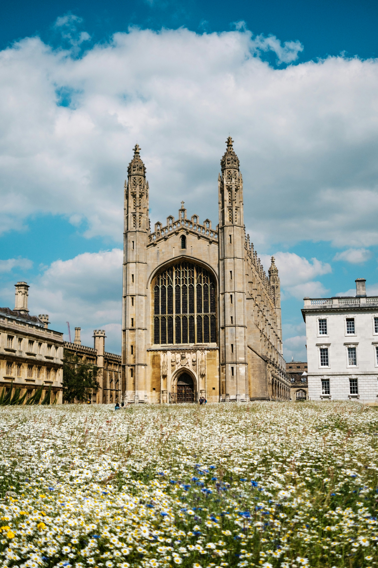Gothic university chapel with wildflower meadow representing academic excellence and growth