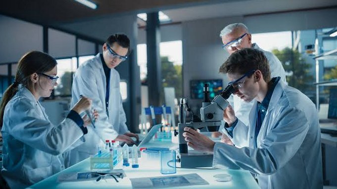 STEM OPT students researching EB-5 investment visa options for U.S. permanent residency